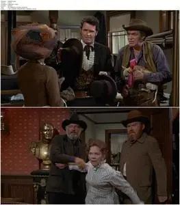 Support Your Local Gunfighter (1971)