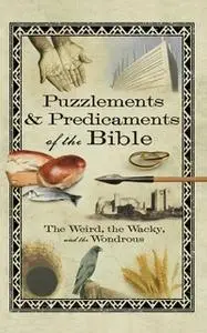 «Puzzlements & Predicaments of the Bible» by Howard Books