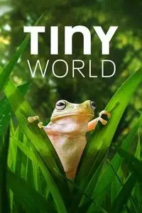 Tiny World S02E03