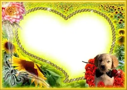 Frame with nice puppy for Photoshop