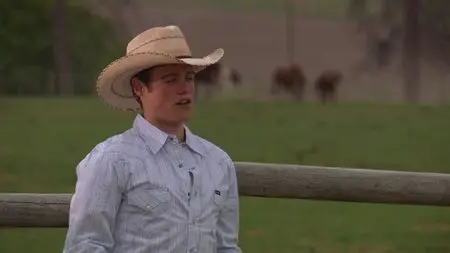 Flicka 2 (2010)