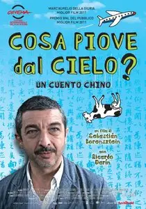 Cosa piove dal cielo ? (2011)