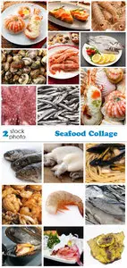 Photos - Seafood Collage
