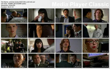 Criminal Minds S04E24 (2009)