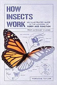 How Insects Work: An Illustrated Guide to the Wonders of Form and Function—from Antennae to Wings