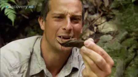 Ultimate Survival (Man vs Wild) Dominican Republic (2009)