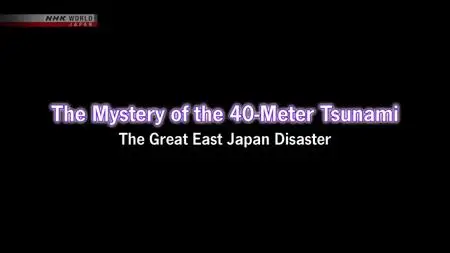 NHK - The Mystery of the 40-Meter Tsunami: The Great East Japan Disaster (2020)