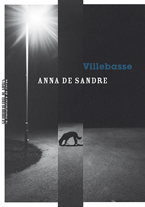 Villebasse de Anna De Sandre