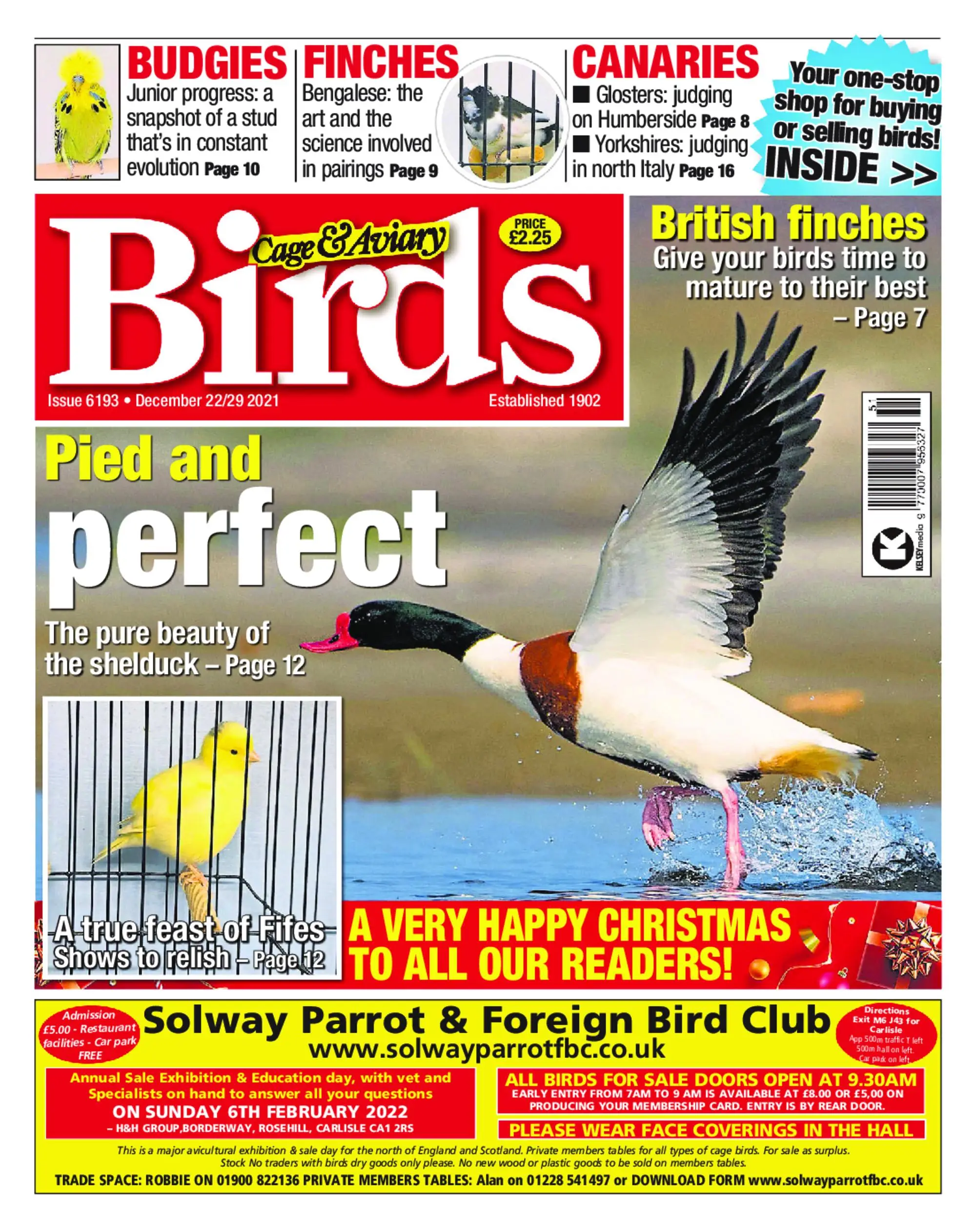 Cage & Aviary Birds – 22 December 2021