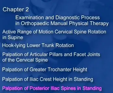 Manual Physical Therapy of the Spine (DVD)
