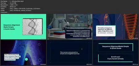 Sequence Alignment Made Simple For Research: A Quick Guide