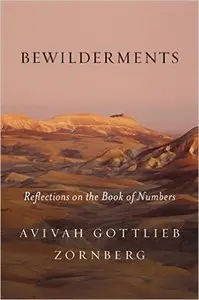 Bewilderments: Reflections on the Book of Numbers