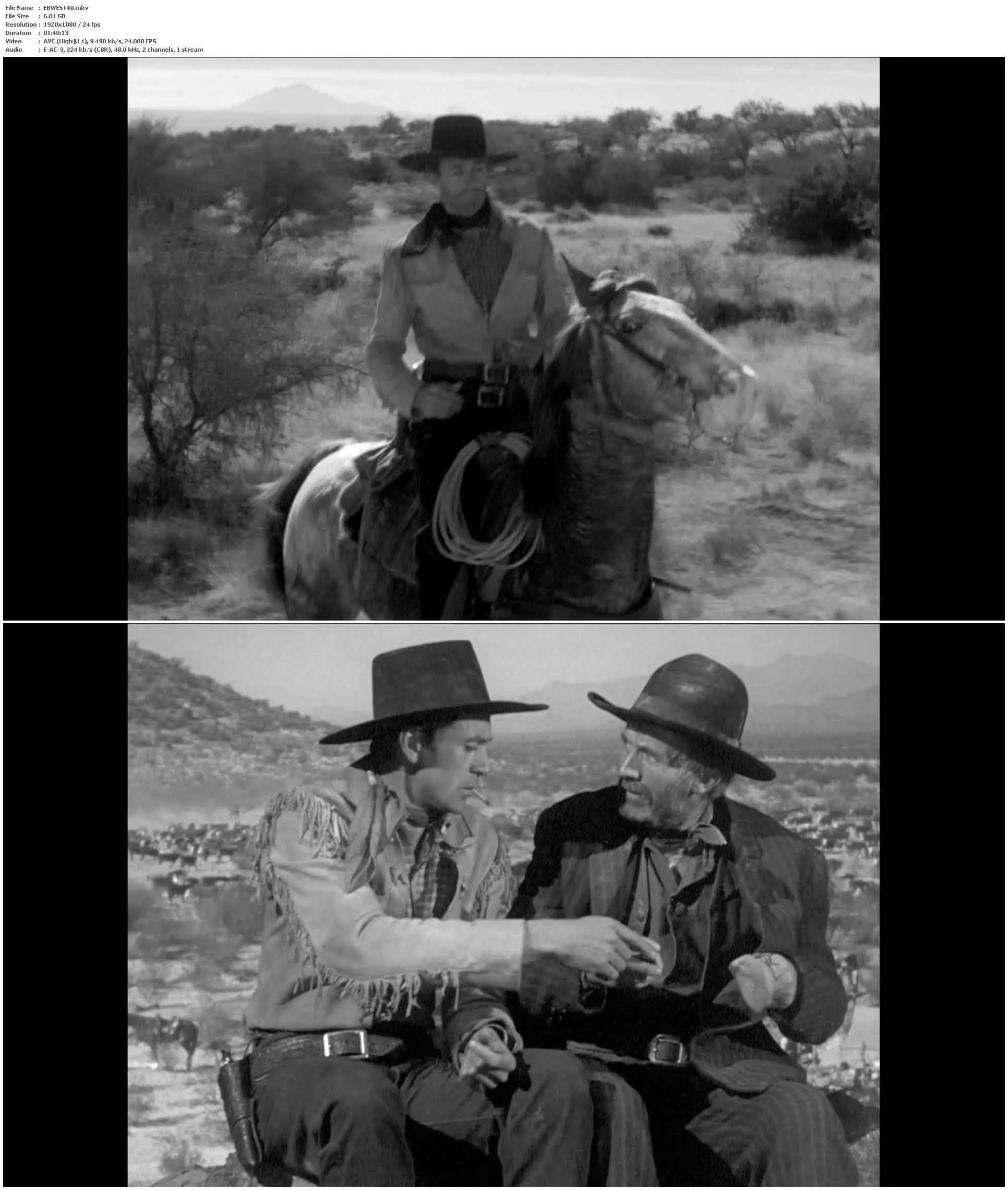 The Westerner (1940)