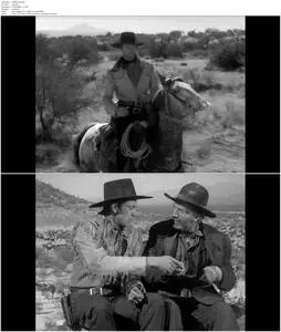 The Westerner (1940)