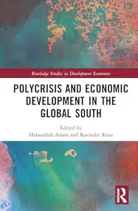 Polycrisis and Economic Development in the Global South