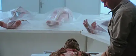 The Beyond (1981) [Dual Audio] + Commentary