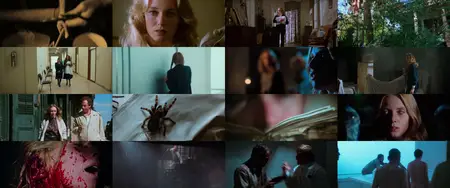 The Beyond (1981) [Dual Audio] + Commentary