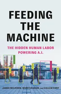 Feeding the Machine: The Hidden Human Labor Powering A.I., US Edition