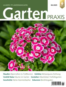Gartenpraxis - No.6 2025