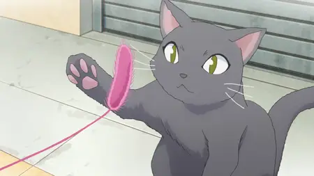 meow meow I've Had Enough of Being a Magical Girl (2016 S01E08 Another Magical Girl SmugCat mkv" yEnc