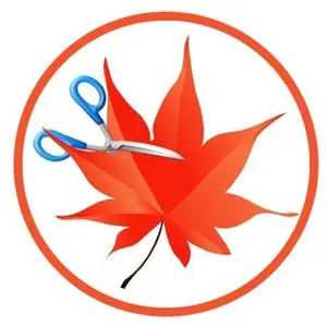 Easy Cut Studio 6.014 (x64) Multilingual Portable