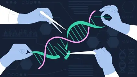 CRISPR Cas System: From DNA Basics to Advanced Gene Editing