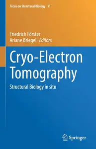 Cryo-Electron Tomography: Structural Biology in situ (Focus on Structural Biology)