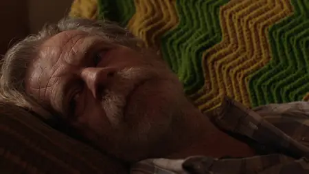 Shameless - Nicht ganz nüchtern S11E12