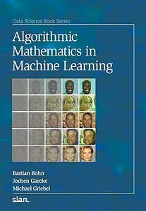 Algorithmic Mathematics in Machine Learning