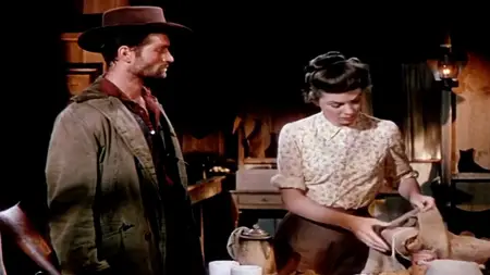 Vengeance Valley (1951)