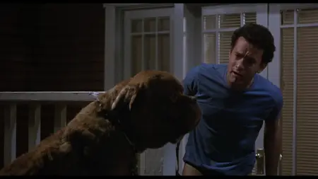 Turner & Hooch (1989)