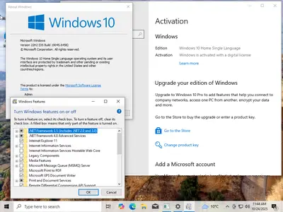 Windows 10 22H2 build 19045.6456 AIO 16in1 Multilingual (x64) Preactivated October 2025