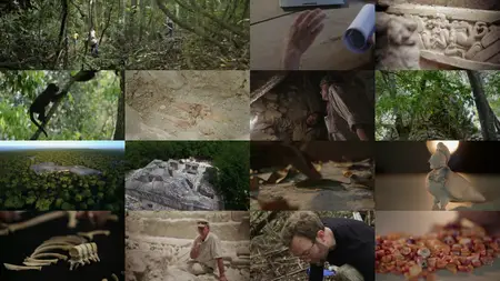 Arte - Naachtun: The Forgotten Mayan City (2015)