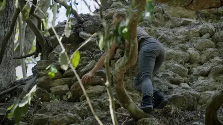 Arte - Naachtun: The Forgotten Mayan City (2015)
