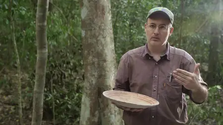 Arte - Naachtun: The Forgotten Mayan City (2015)