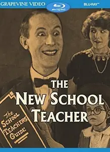 The New School Teacher (1924)