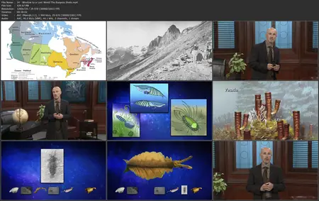 TTC Video - A New History of Life