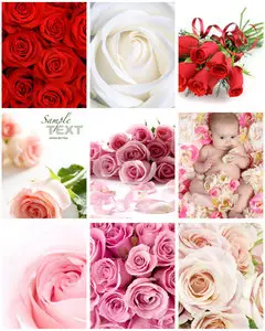Awesome SS - Roses