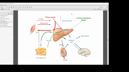 The Keto Summit (2016)