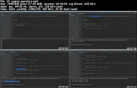 Python Programming - Multithreading, OOP, NumPy and Pandas