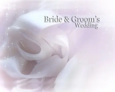 Taste Digital Media - Wedding DVD Templates (Bows S1)