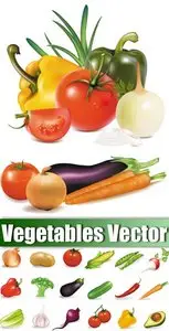 Vegetables Vector