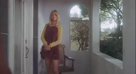 Shampoo (1975)