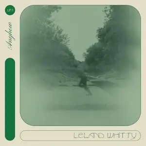 Leland Whitty - Anyhow (2022) [Official Digital Download]