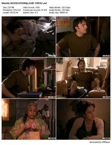 Weeds Season 1 Complete