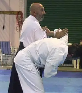 Aikido Training DVDs with Nishio Sense