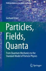 Particles, Fields, Quanta: From Quantum Mechanics to the Standard Model of Particle Physics