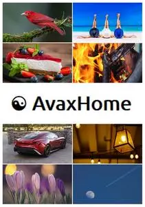 AvaxHome Wallpapers Part 52