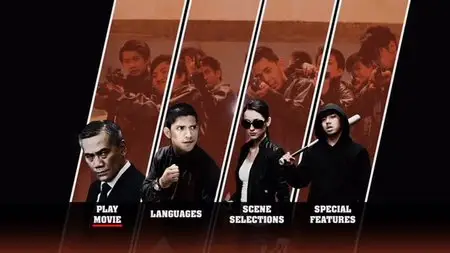 The Raid 2 (2014)