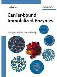 Carrier-bound Immobilized Enzymes [Repost]